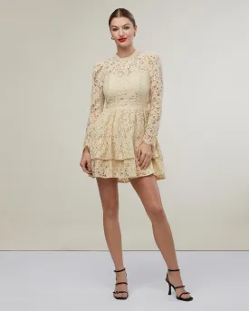 Metallic Lace Mini Dress